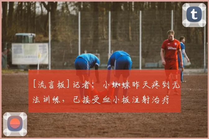 [流言板]记者：小蜘蛛昨天疼到无法训练，已接受血小板注射治疗