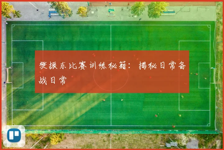 樊振东比赛训练秘籍:揭秘日常备战日常