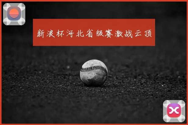 新浪杯河北省级赛激战云顶