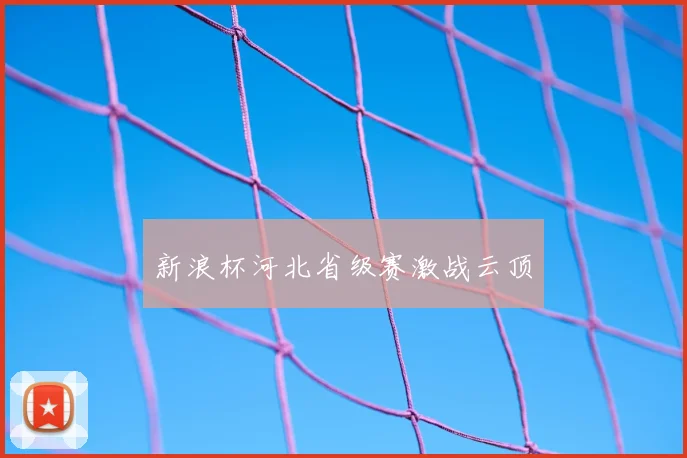 新浪杯河北省级赛激战云顶